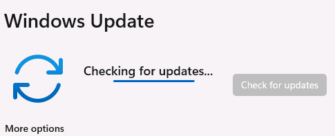 Image without caption